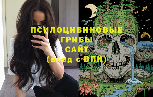 кокс Алексин