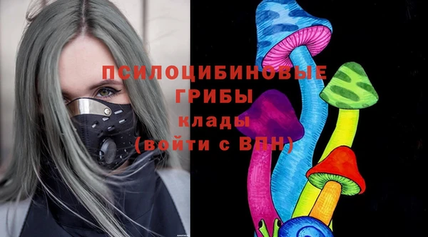 спиды Алексеевка