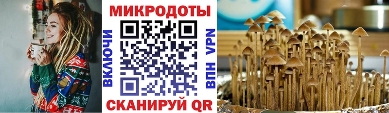 Галлюциногенные грибы MAGIC MUSHROOMS  Тавда 