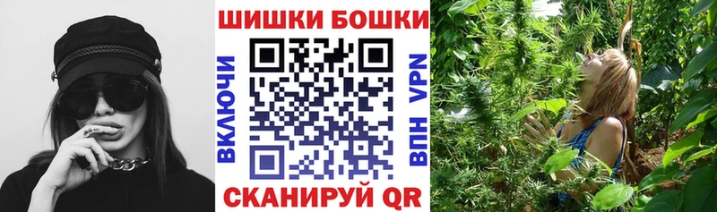 МАРИХУАНА план  продажа наркотиков  Тавда 